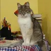 Отзыв от Ульяна Голубева